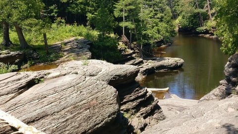 a close up of a tree surrounded by water