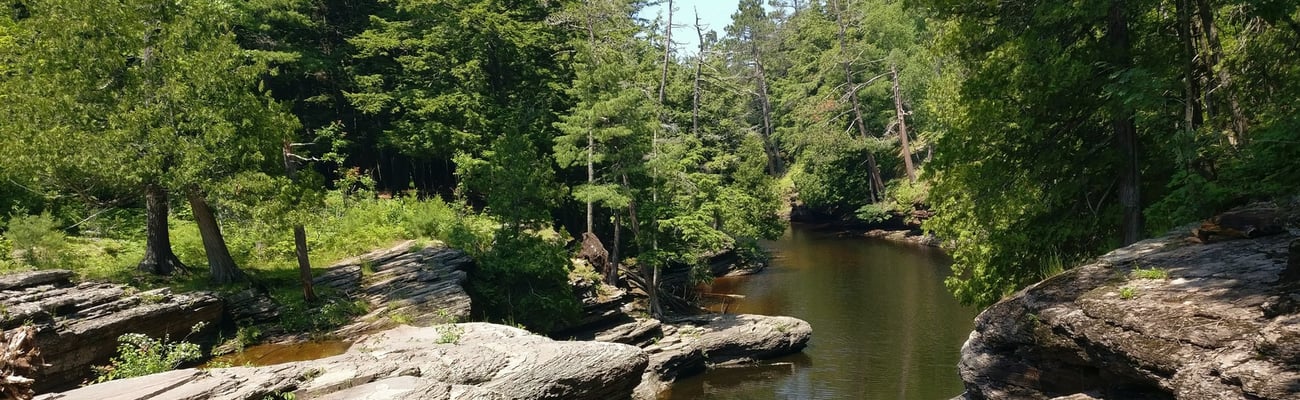 a river running through a wooded area