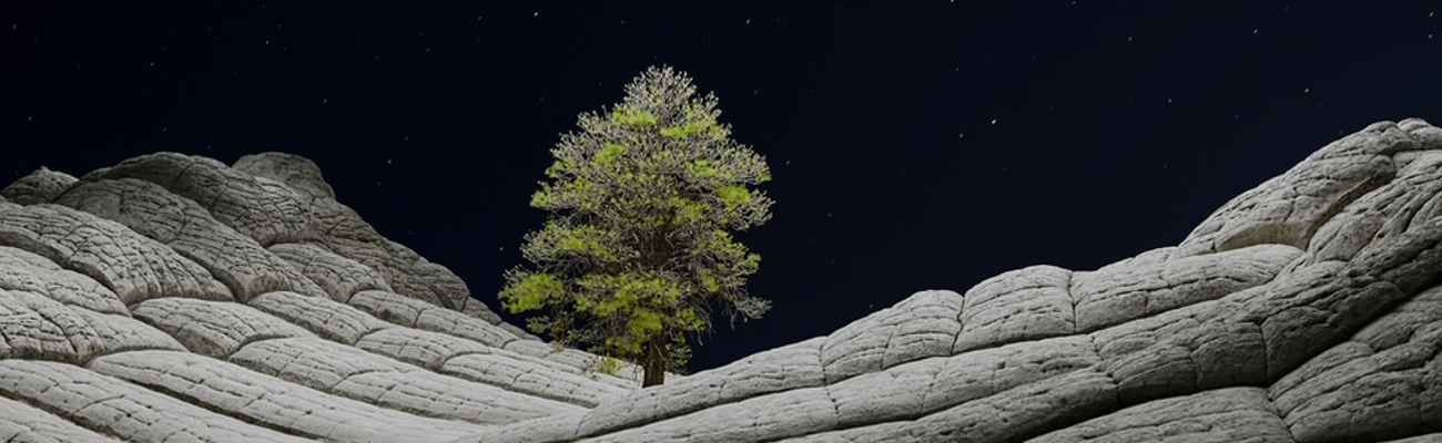 tree
